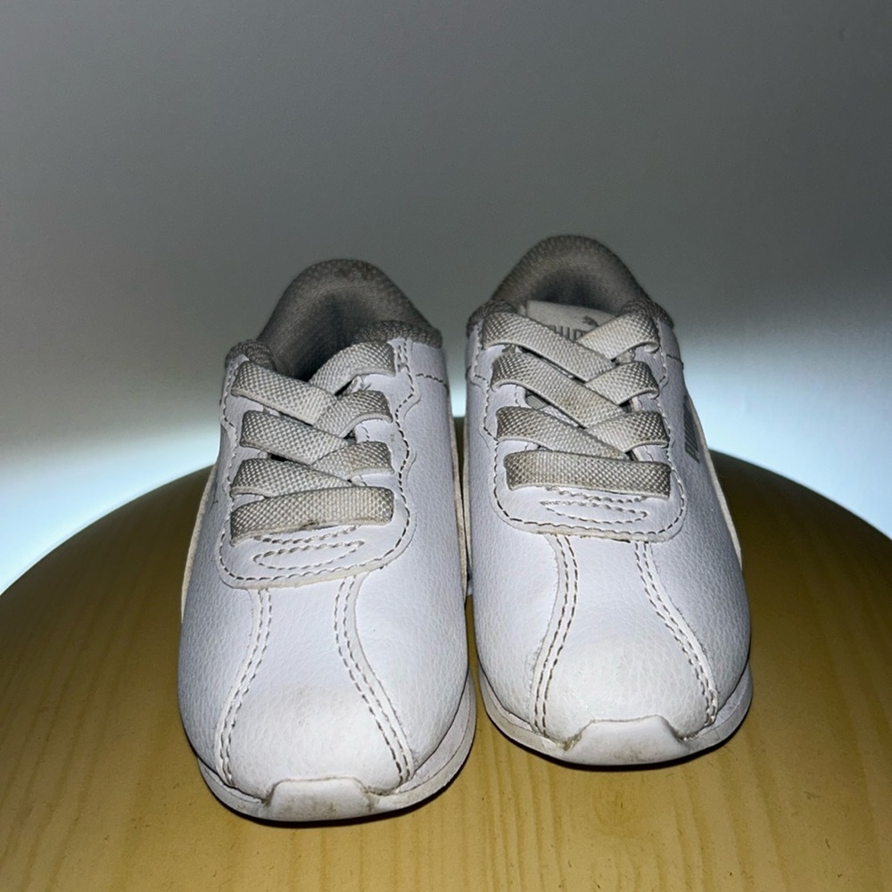 Pumas